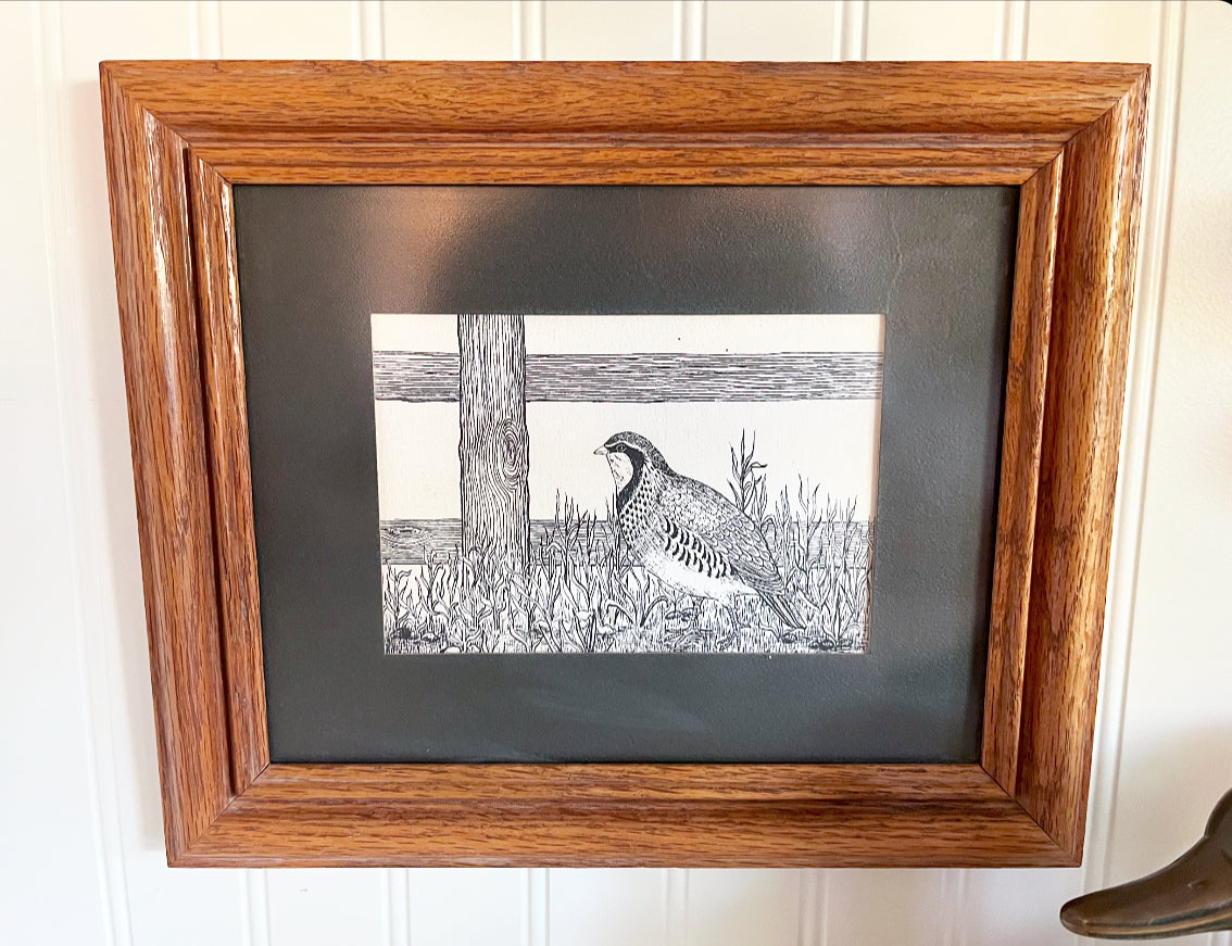 Framed Quail Print