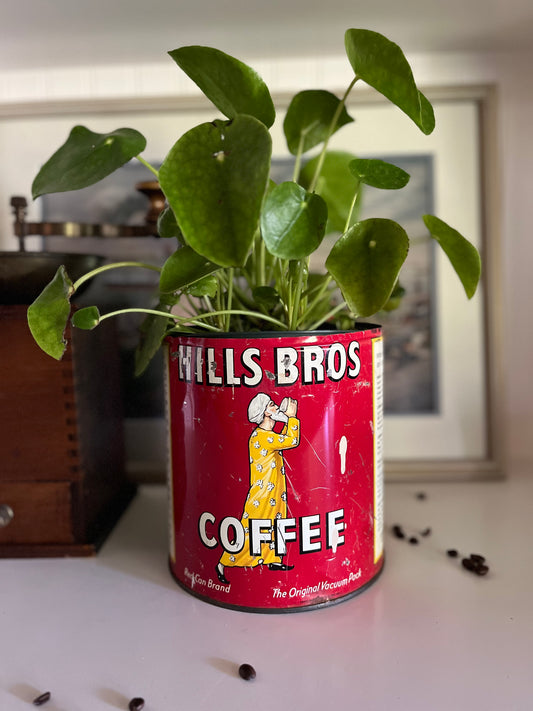 Vintage Hills Bros Coffee Tin